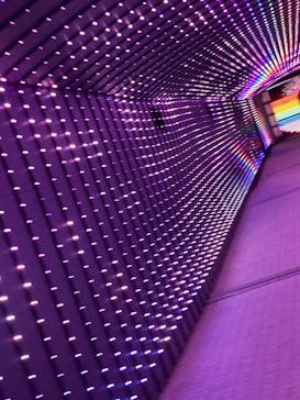 東京メガイルミに投稿された画像（2020/11/29）