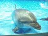 アクアワールド茨城県大洗水族館に投稿された画像（2020/11/29）