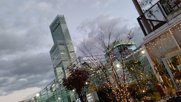 天王寺動物園に投稿された画像（2020/11/29）