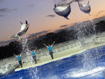 京都水族館に投稿された画像（2020/11/29）