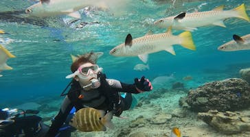 DIVING-SHOP SUNSに投稿された画像（2020/11/29）