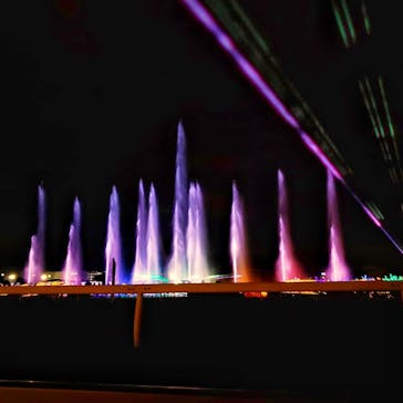 東京メガイルミに投稿された画像（2020/11/29）