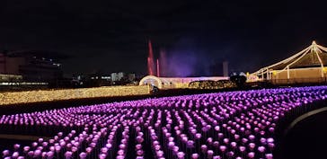 東京メガイルミに投稿された画像（2020/11/29）