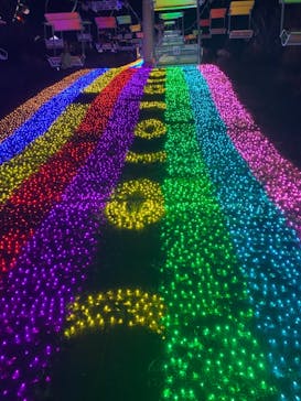 さがみ湖MORI MORIに投稿された画像（2020/11/29）