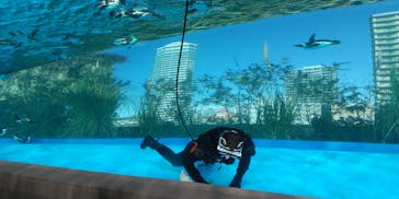 サンシャイン水族館に投稿された画像（2020/11/29）