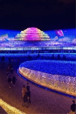 なばなの里に投稿された画像（2020/11/29）