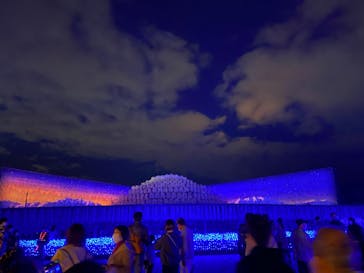 なばなの里に投稿された画像（2020/11/29）