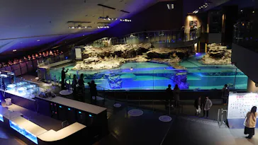 すみだ水族館に投稿された画像（2020/11/29）