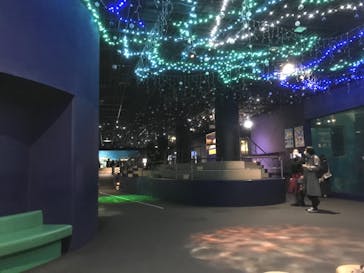 アクアワールド茨城県大洗水族館に投稿された画像（2020/11/30）