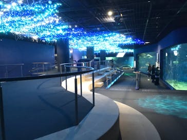 アクアワールド茨城県大洗水族館に投稿された画像（2020/11/30）