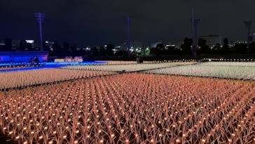 東京メガイルミに投稿された画像（2020/11/30）