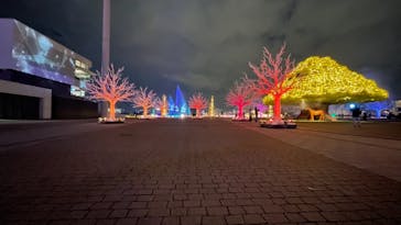 東京メガイルミに投稿された画像（2020/11/30）