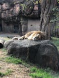 天王寺動物園に投稿された画像（2020/11/30）