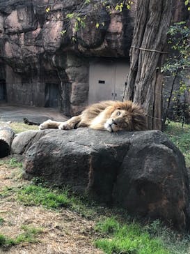 天王寺動物園に投稿された画像（2020/11/30）