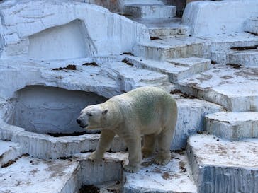 天王寺動物園に投稿された画像（2020/11/30）