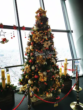 東京スカイツリーに投稿された画像（2020/11/30）