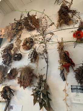 アトリエgreen（グリーン）に投稿された画像（2020/11/30）