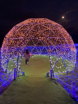 さがみ湖MORI MORIに投稿された画像（2020/11/30）