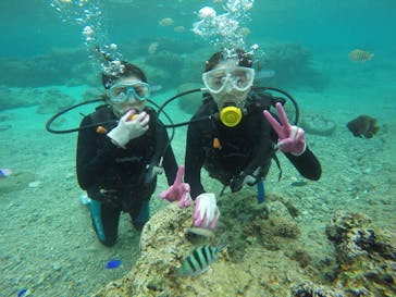 武藤潜水に投稿された画像（2020/11/30）