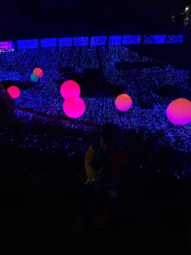 さがみ湖MORI MORIに投稿された画像（2020/11/30）