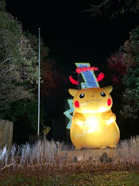 さがみ湖MORI MORIに投稿された画像（2020/11/30）