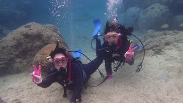 ダイビングショップ Sea Free（シーフリー）に投稿された画像（2020/11/30）