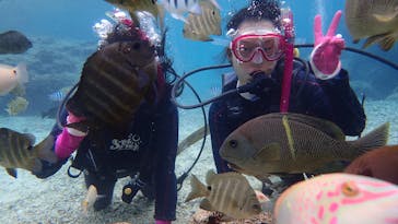 ダイビングショップ Sea Free（シーフリー）に投稿された画像（2020/11/30）