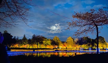 なばなの里に投稿された画像（2020/11/30）