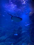 京都水族館に投稿された画像（2020/11/30）