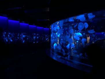 京都水族館に投稿された画像（2020/11/30）