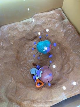 横浜アンパンマンこどもミュージアムに投稿された画像（2020/11/30）