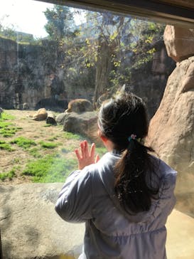 天王寺動物園に投稿された画像（2020/11/30）