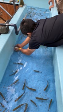 NESTA RESORT KOBE（ネスタリゾート神戸）に投稿された画像（2020/11/28）