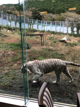 伊豆アニマルキングダムに投稿された画像（2020/11/30）