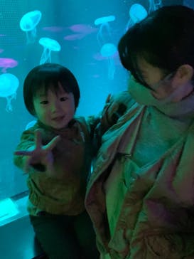 京都水族館に投稿された画像（2020/11/30）