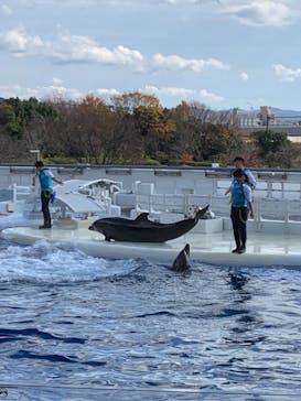京都水族館に投稿された画像（2020/11/30）