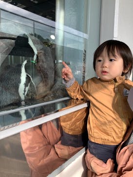 京都水族館に投稿された画像（2020/11/30）