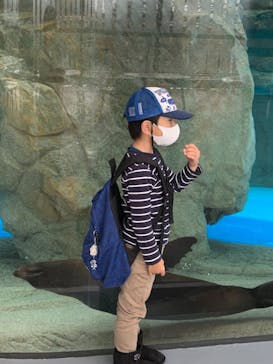 京都水族館に投稿された画像（2020/11/30）