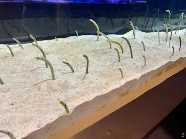 すみだ水族館に投稿された画像（2020/11/30）