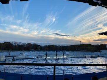 京都水族館に投稿された画像（2020/11/30）