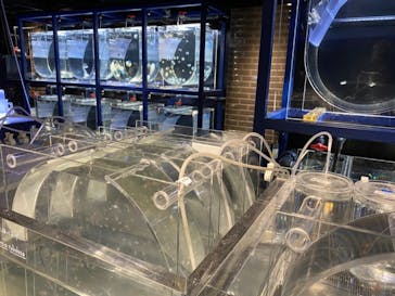 京都水族館に投稿された画像（2020/11/30）