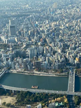 東京スカイツリーに投稿された画像（2020/11/30）