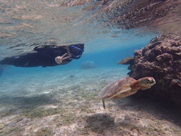 宮古島 ADVENTURE PiPi（ミヤコジマ アドベンチャー ピピ）に投稿された画像（2020/11/30）