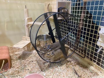 サンシャイン水族館に投稿された画像（2020/11/30）