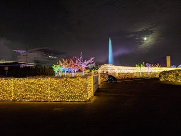 東京メガイルミに投稿された画像（2020/11/30）