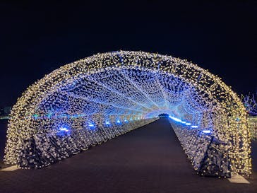 東京メガイルミに投稿された画像（2020/11/30）