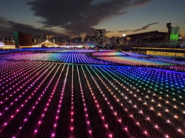 東京メガイルミに投稿された画像（2020/11/30）