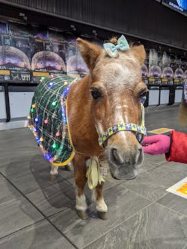 東京メガイルミに投稿された画像（2020/11/30）