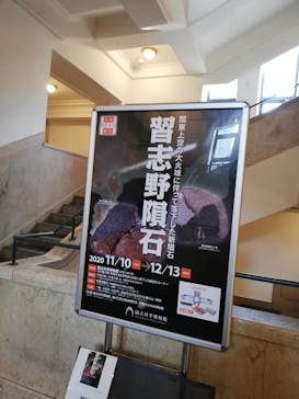 国立科学博物館に投稿された画像（2020/11/30）