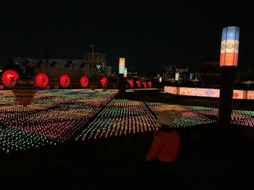 東京メガイルミに投稿された画像（2020/11/30）